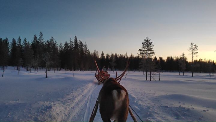 Wintry Scandinavian bliss!