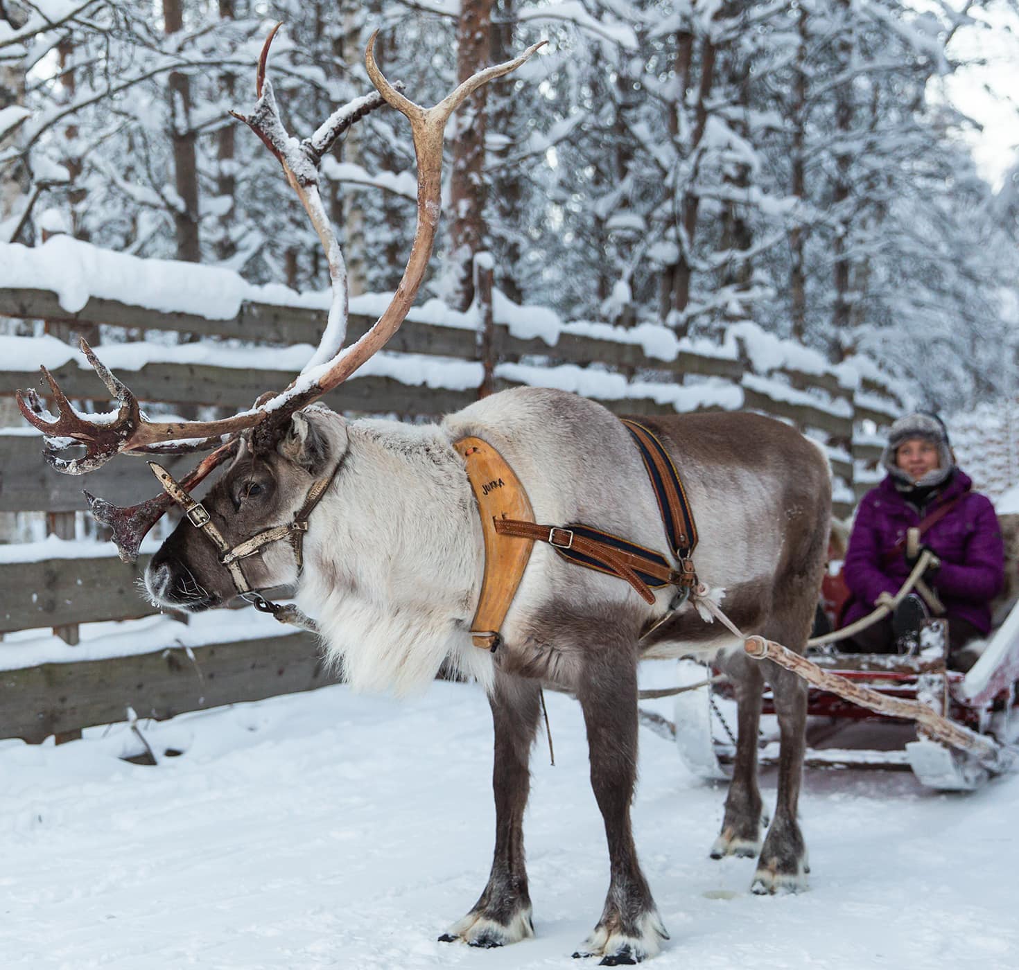 Finland | Winter & Summer activities in Lapland