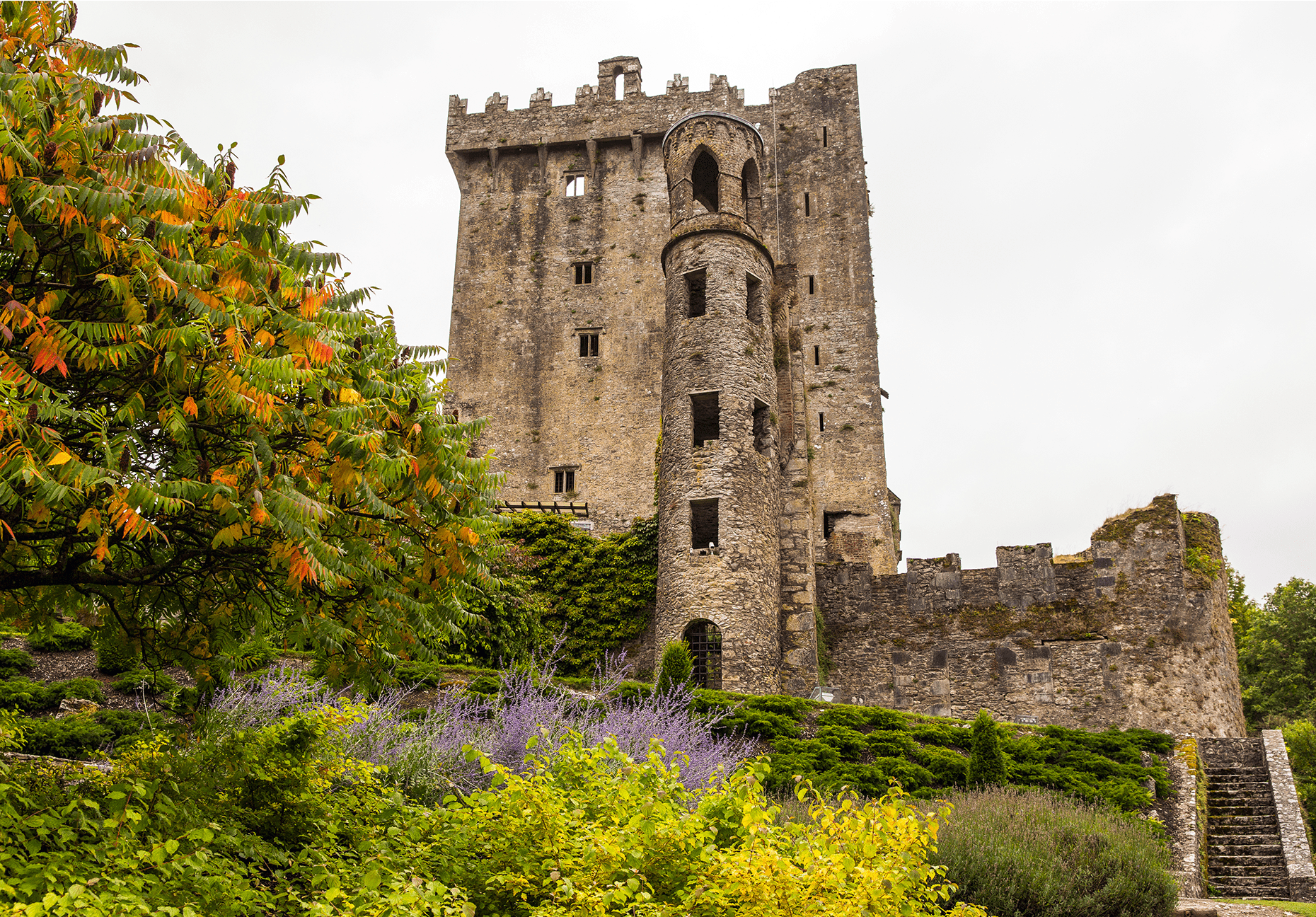The Emerald Isle Tour Partner Group The Emerald Isle Tour Partner Group