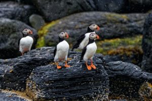 Sustainable tours