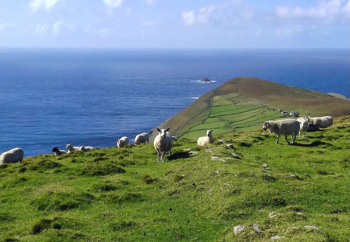 Here are some pictures our Jade took during her holiday in West Cork, Ireland.