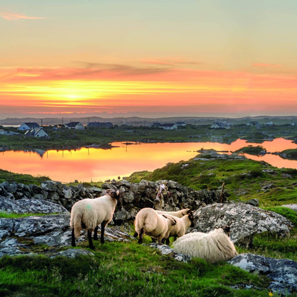 Reiseideen 2022: Grünes Irland