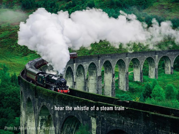 Experience Scotland with all your senses.