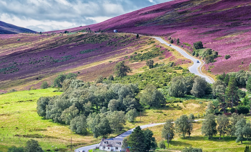 Caingorms National Park | Exploring Nature's Beauty: The Best National Parks in the UK