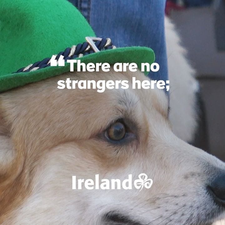 🍀 Happy St.
