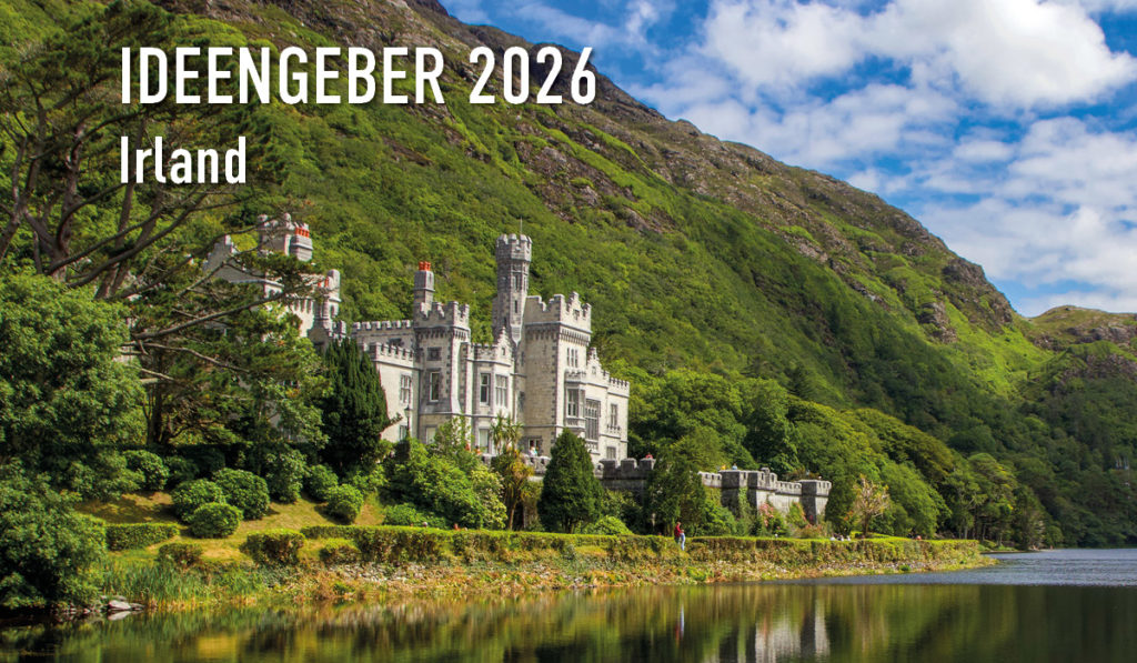 German Mini brochure Ireland