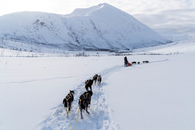 Tromsø – Aurore e Avventure