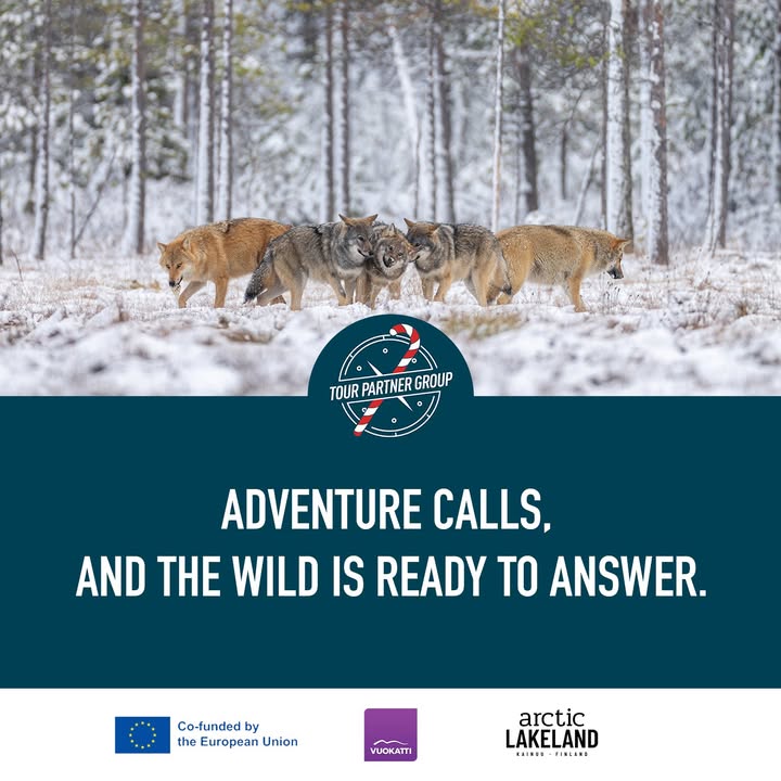 Some encounters are unforgettable, but encounters with wildlife are timeless.