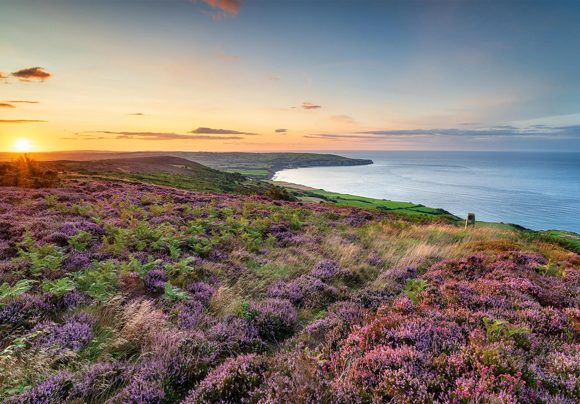 Purple heather covers moorland above a wide coastal bay, with the sun low on the horizon