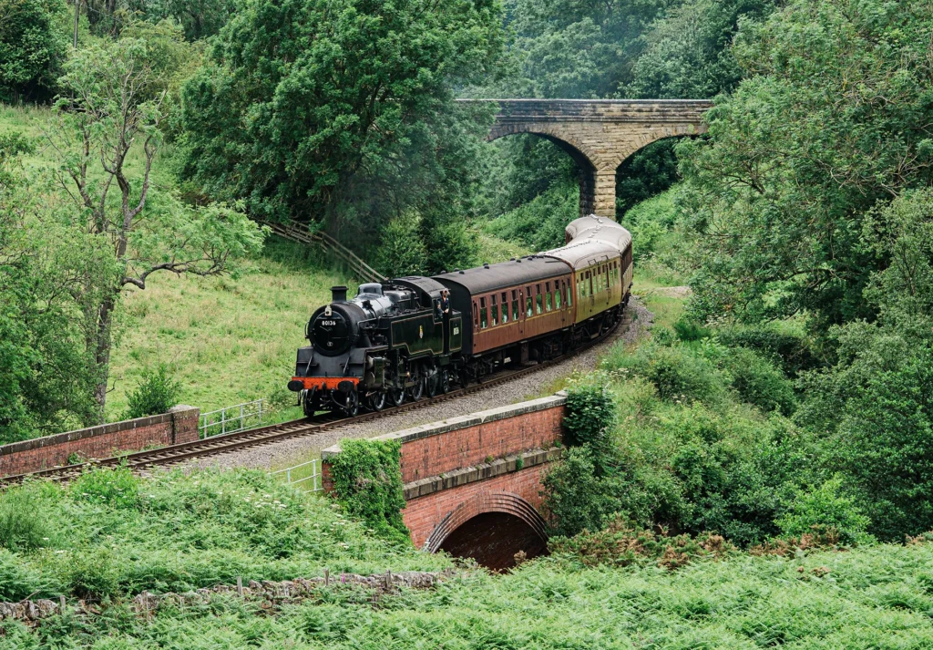 A green steam locomotive pulls vintage carriages through a wooded valley beneath a stone bridge