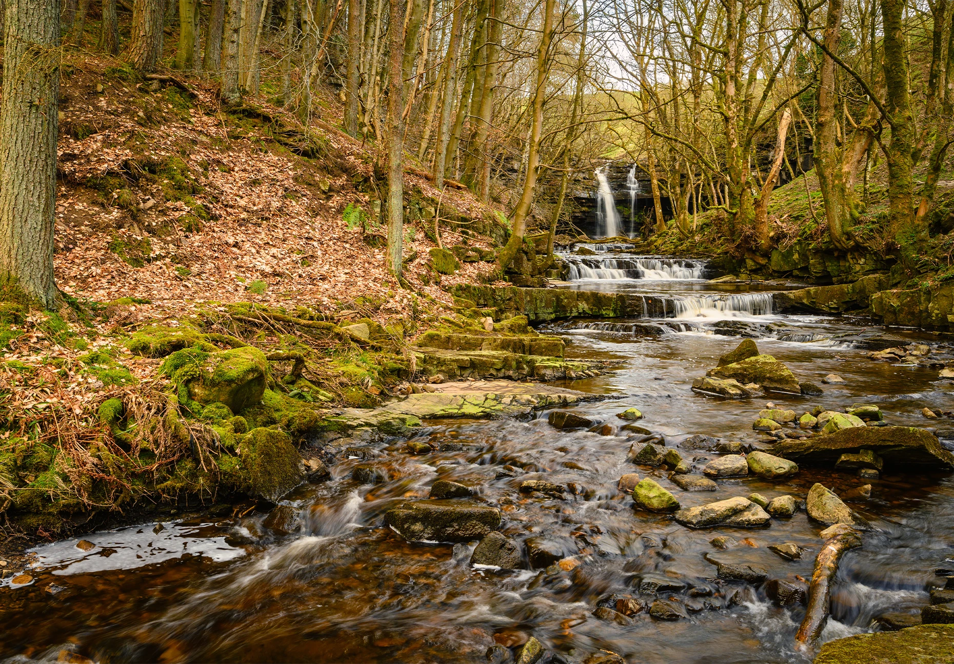 A waterfall tumbles over limestone ledges into a rocky stream through bare woodland