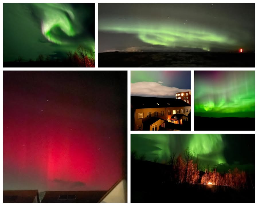🌌 Aurora vibes from around the world!