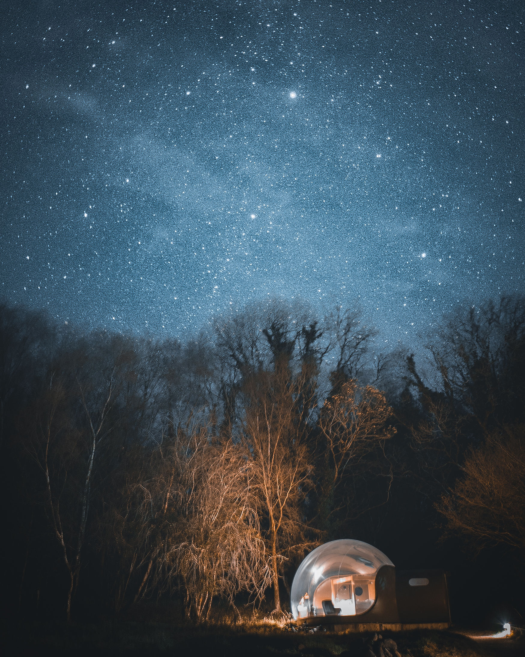 A glowing transparent bubble dome accommodation nestled among bare winter trees in the Irish countryside at night, with a breathtaking star-filled sky and the Milky Way stretching overhead.