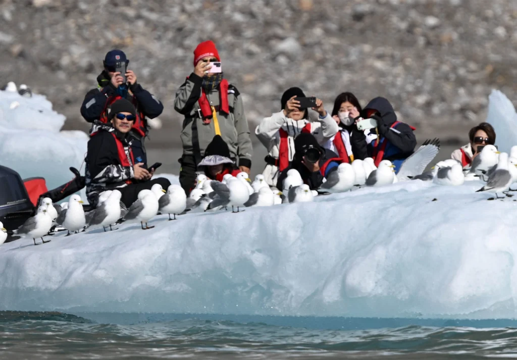 Passengers with cameras behind a row of gulls perched along a blue-white ice floe