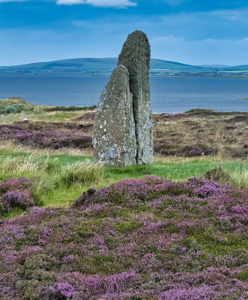 Split lichen-covered monolith rising from flowering heather with a loch and hills beyond