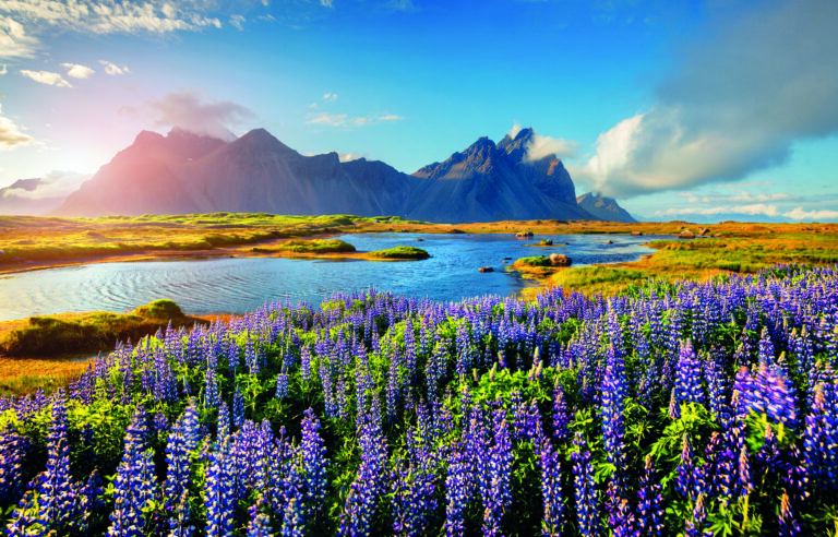 Highlights of Iceland