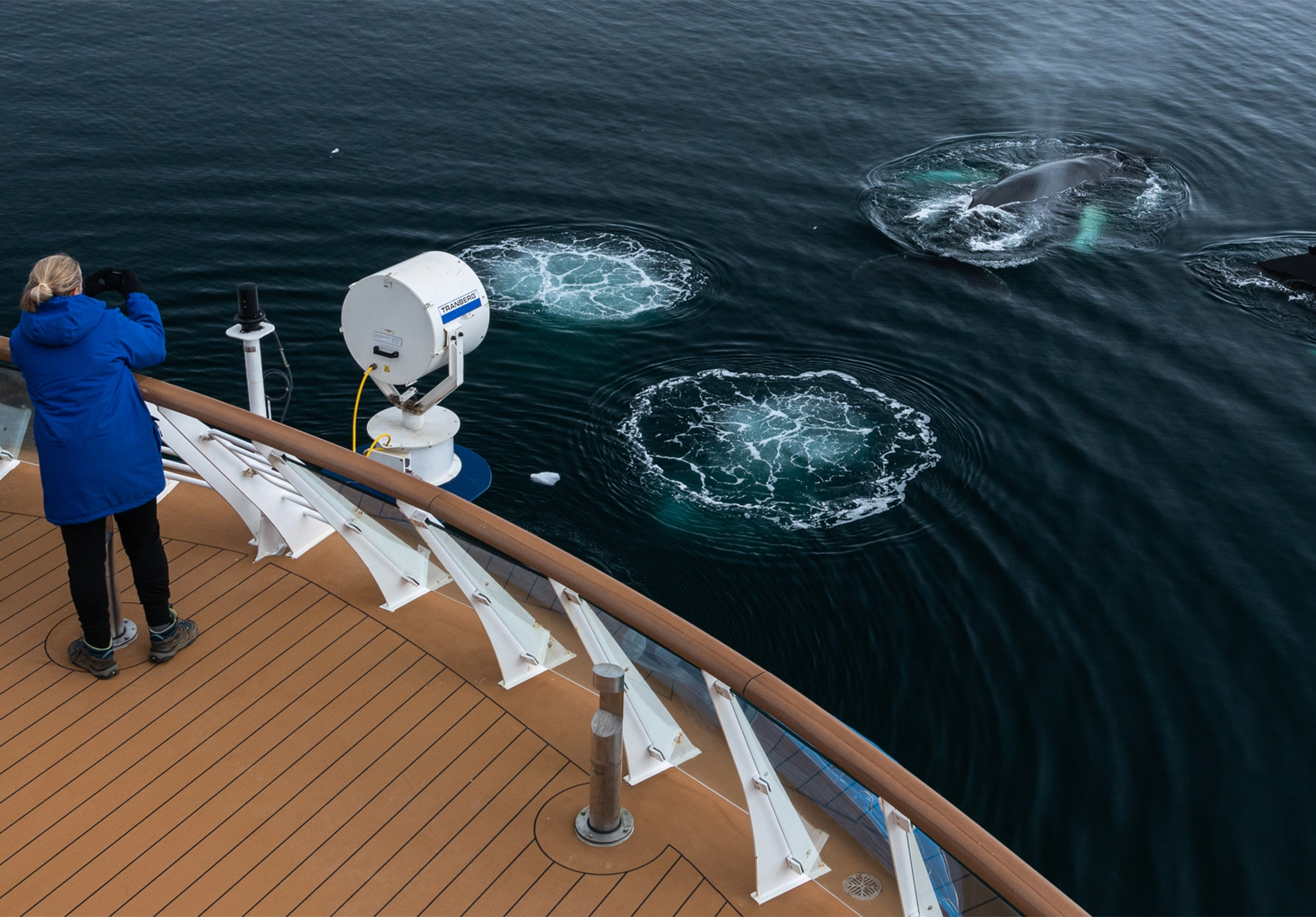 Woman in a blue parka with binoculars observing whales surfacing beside the ship