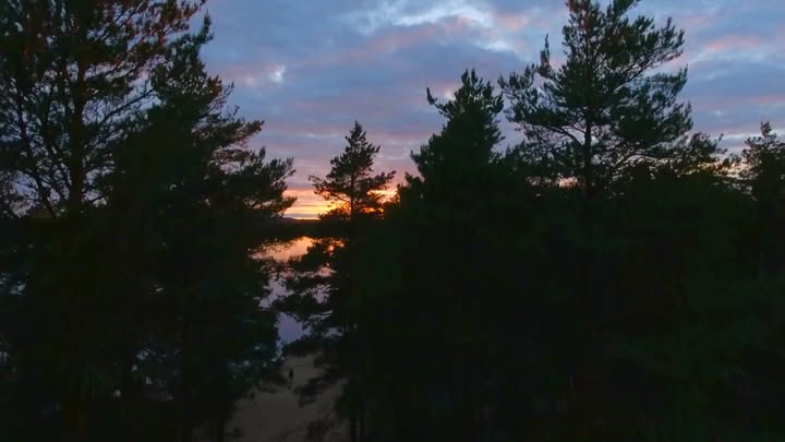 ✨ What if the sun never set — and you never wanted the day to end?