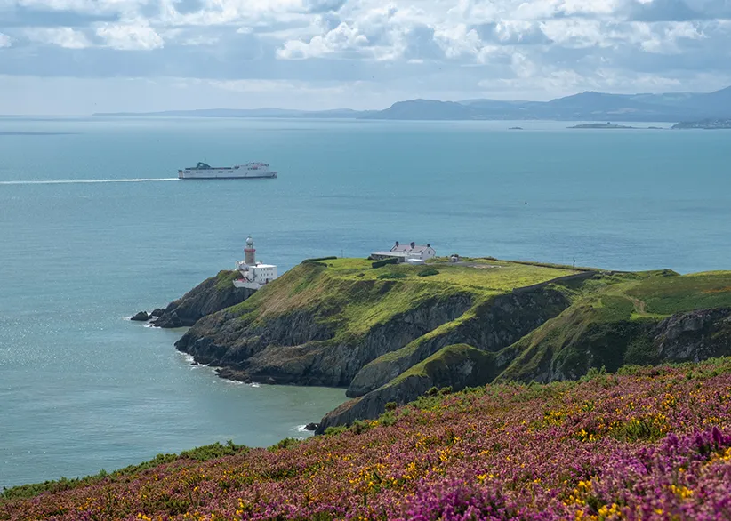 Baily Lighthouse on the Howth headland with purple heather in the foreground, a ferry crossing Dublin Bay, and distant mountains on the horizon