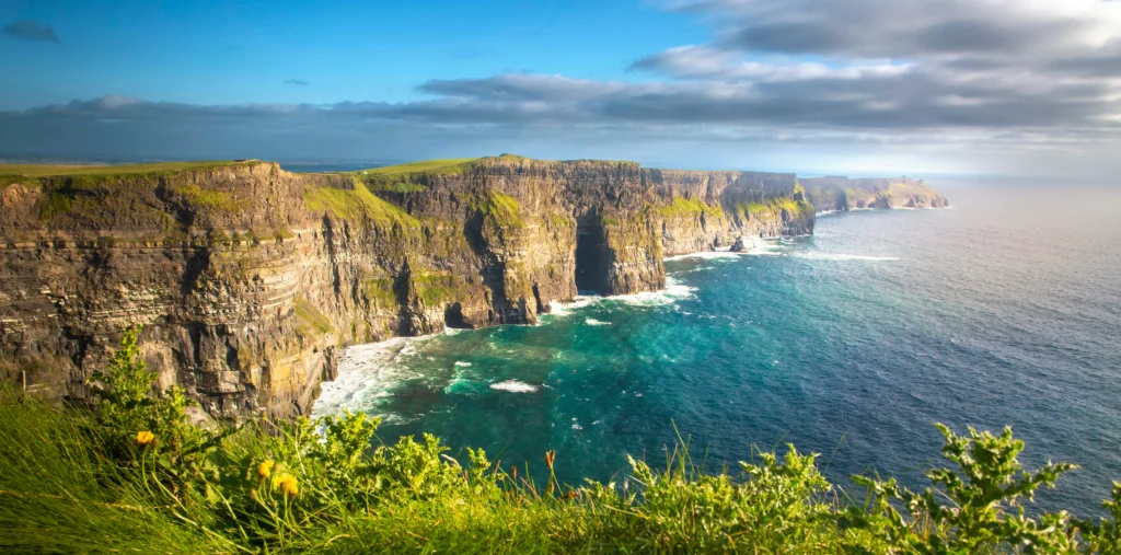 The Cliffs of Moher viewed from the cliff edge with green grass and wildflowers in the foreground, turquoise waves crashing below, and the coastline stretching into the distance under a blue sky