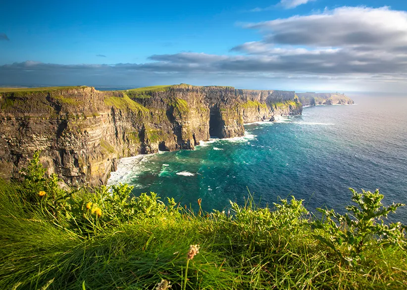 The Cliffs of Moher viewed from the cliff edge with green grass and wildflowers in the foreground, turquoise waves crashing below, and the coastline stretching into the distance under a blue sky
