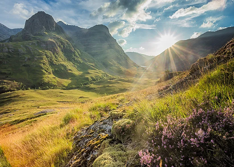 The Three Sisters of Glencoe bathed in sunlight with a sunburst between the peaks, green glen floor, and purple heather in the foreground, Scottish Highlands