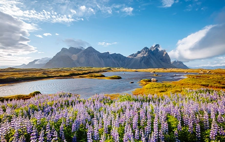 Highlights of Iceland – Expedition Cruise