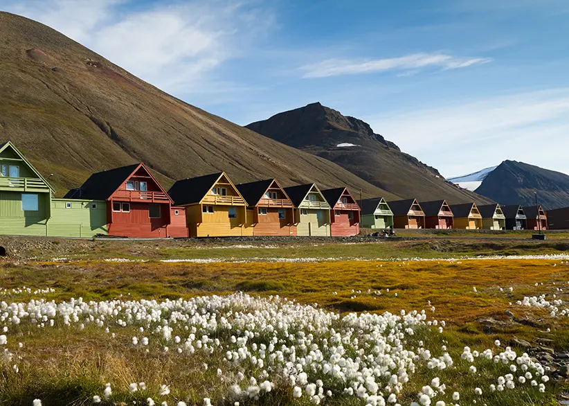 Row of colourful wooden houses in Longyearbyen with Arctic cotton grass in the foreground and barren mountain slopes under a blue sky, Svalbard, Norway