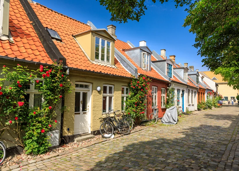 A row of small, brightly colored half-timbered cottages with orange tiled roofs line the cobblestone Møllestien street, their facades covered in climbing red roses, with bicycles parked outside and a tree shading the lane.