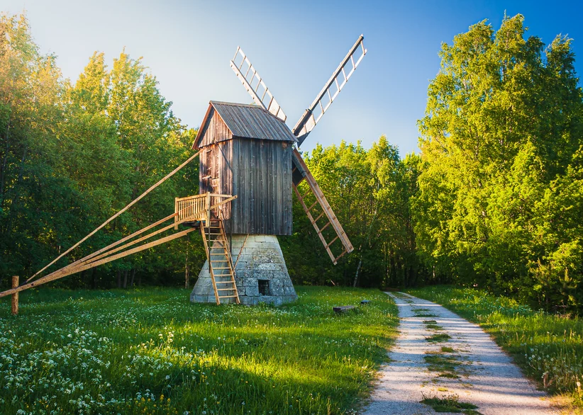 A traditional wooden windmill with tall sail blades stands on a stone base at the edge of a wildflower meadow at the Estonian Open Air Museum, framed by lush green trees and a gravel path leading toward it under a clear blue sky.