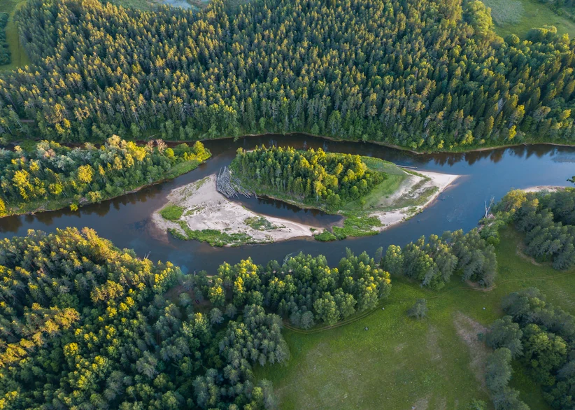 Aerial view of a winding river through Gauja National Park, curving around a sandy peninsula with a fallen log pile, surrounded by dense green forest and open meadows.